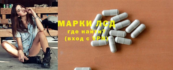 винт Лабытнанги