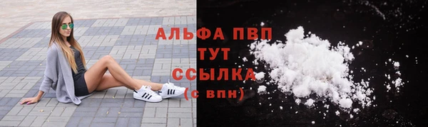 винт Лабытнанги