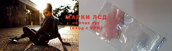 винт Лабытнанги
