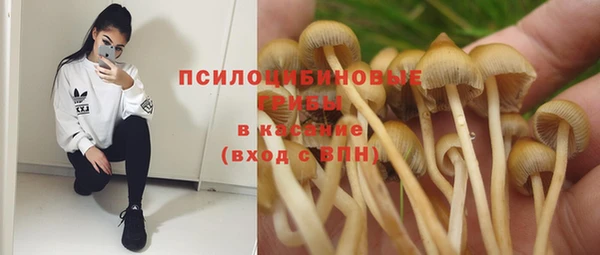 герыч Фёдоровский
