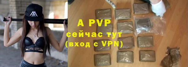 гидра Ладушкин