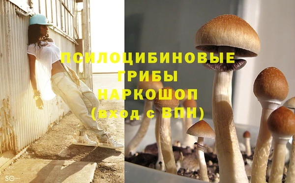 гидропоника Лагань