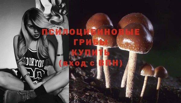 винт Лабытнанги