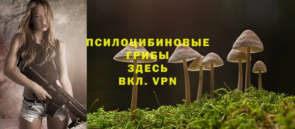 гидра Ладушкин